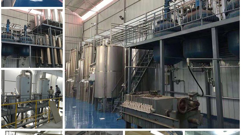 细胞培养基：揭秘生物科技领域的“营养液”排行榜