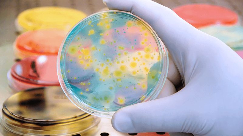 上市破发的隐秘因素：生物科技公司背后的真相**