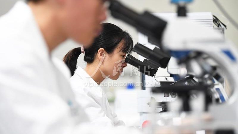 细胞培养箱：揭秘其价格背后的价值考量