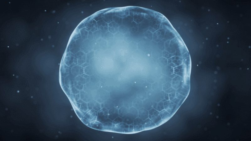 杂交瘤细胞培养基：揭秘其背后的科学奥秘**