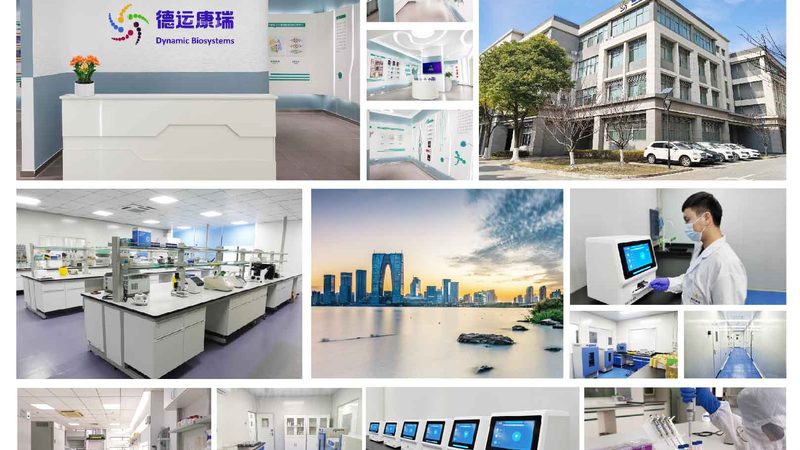 无血清培养基：生物科技研发的“生命之源