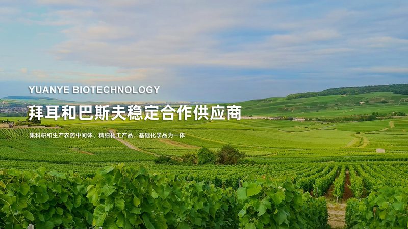 逆转录酶：生物医药研发的“魔术师”与如何选择合适的生产厂家
