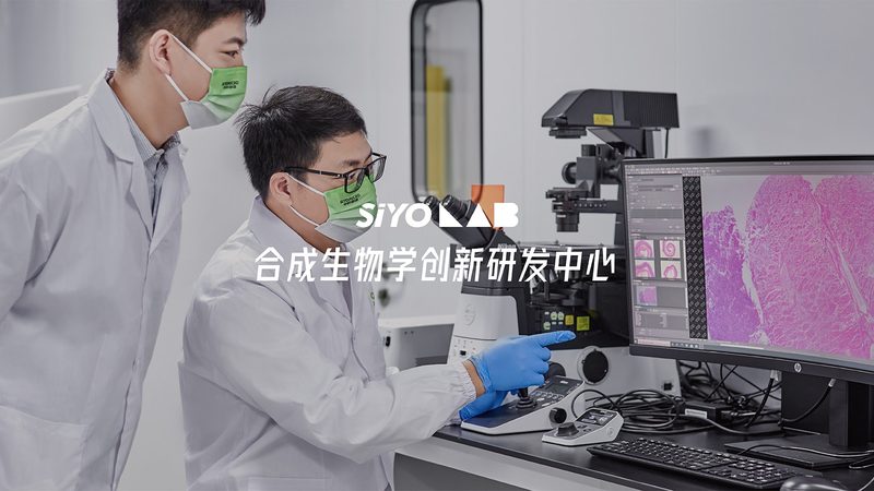 DNA连接酶热失活方法的原理与操作要点