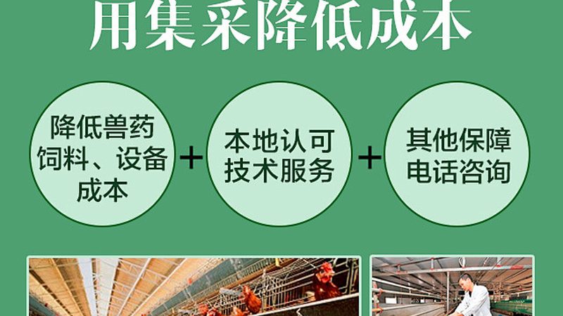 GMP车间人流物流布局，揭秘高效生产的关键**