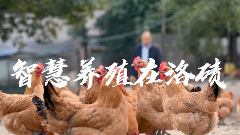 化学发光试剂代理加盟：揭秘背后的行业秘密