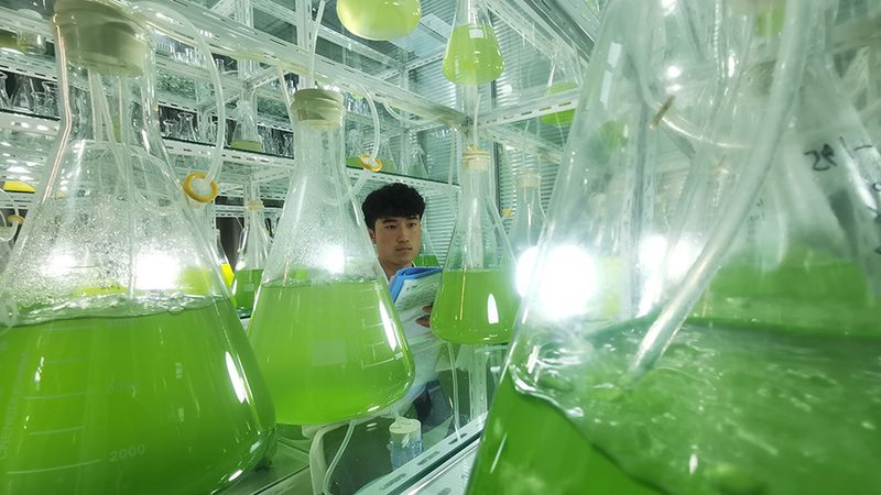 CRO软件批发报价：揭秘生物医药研发的数字化助手